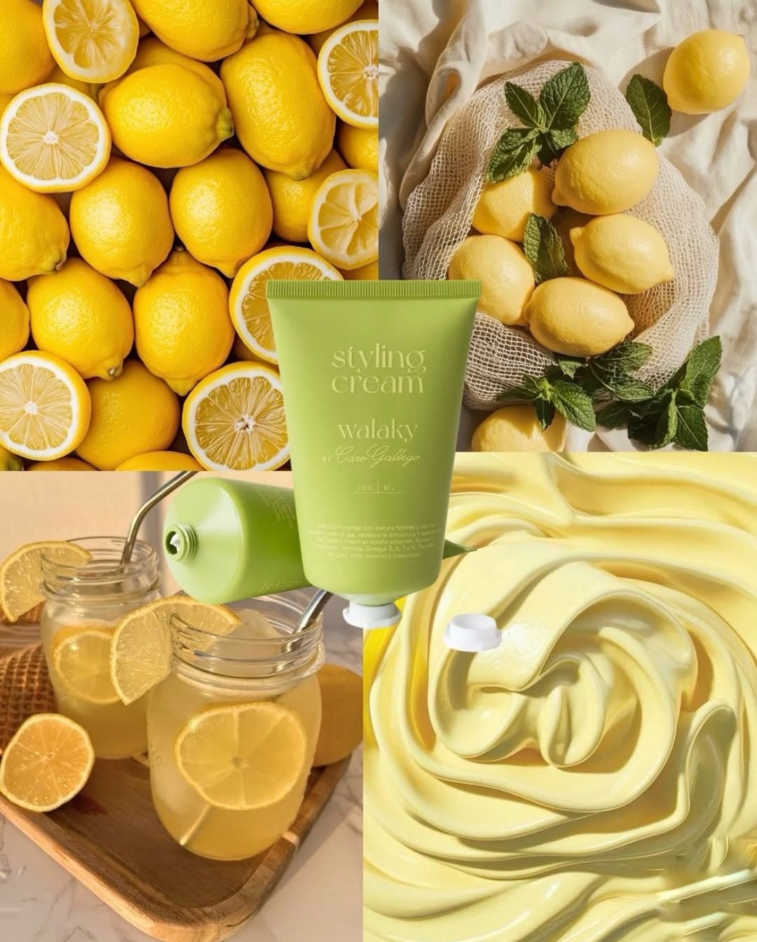 Cepillos y accesorios